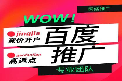 SEM服务公司助力互联网营销案例